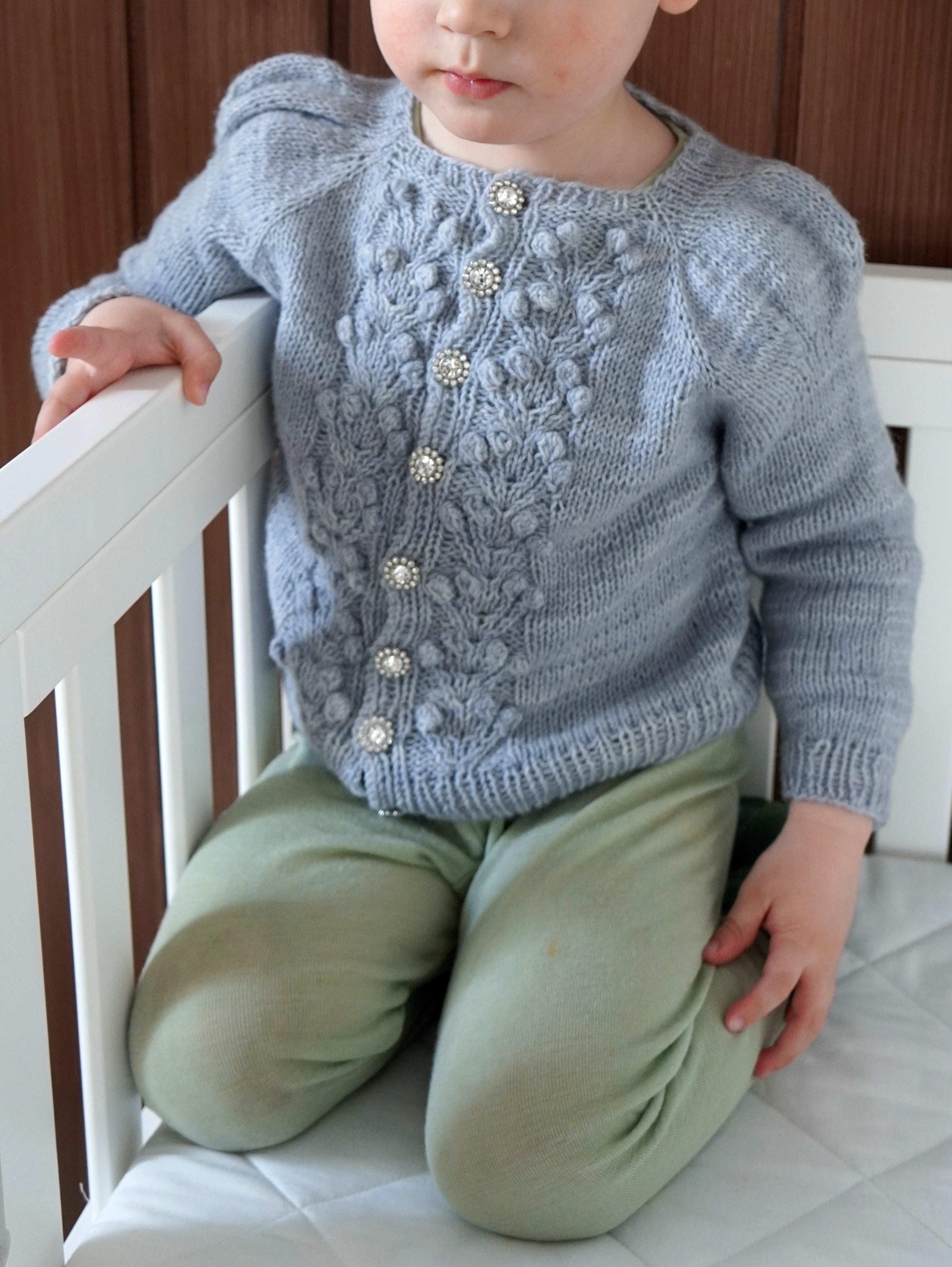 Jr. Forest Berry Jacket Knitting Pattern PDF (English & Norwegian ...